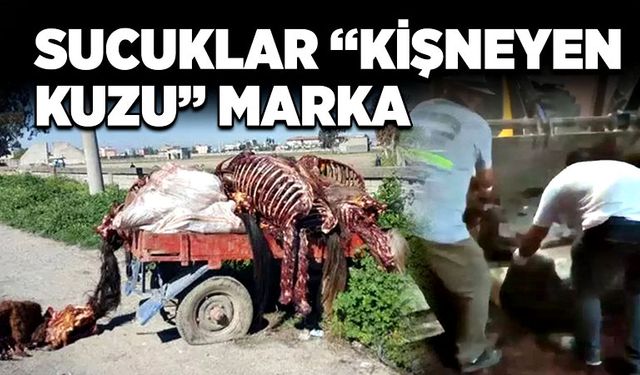 Sucuklar “Kişneyen Kuzu” Marka