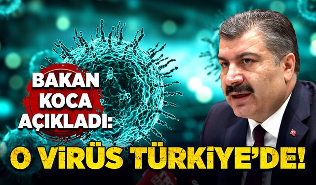 Bakan Koca açıkladı: O virüs Türkiye’de