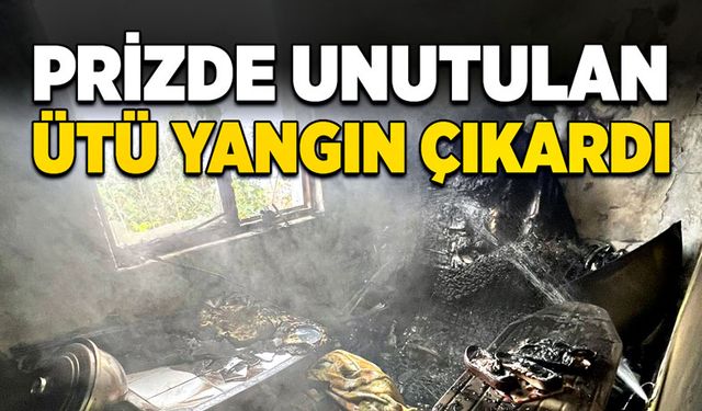 Prizde unutulan ütü evi küle çevirdi!