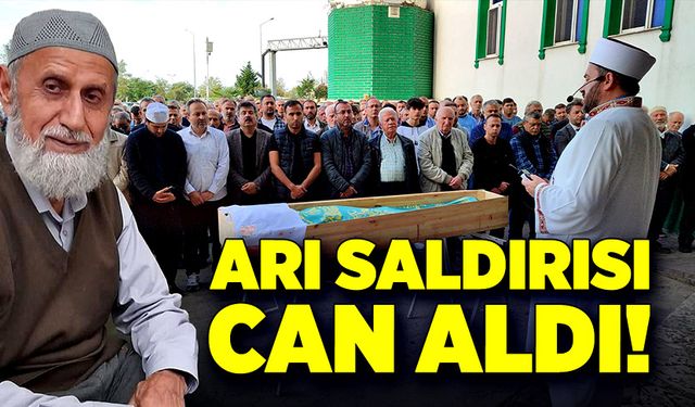 Arı saldırısı can aldı!