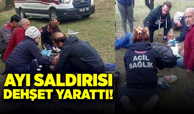 Artvin'de ayı saldırısı: Yaşlı adam yaralandı, ayı öldürüldü