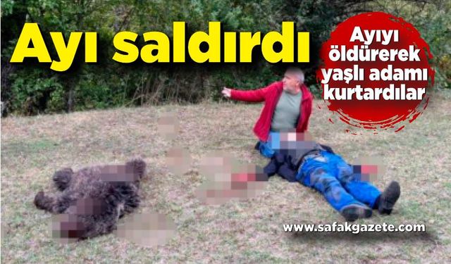 Ayı saldırısına uğrayan kişi ağır yaralandı