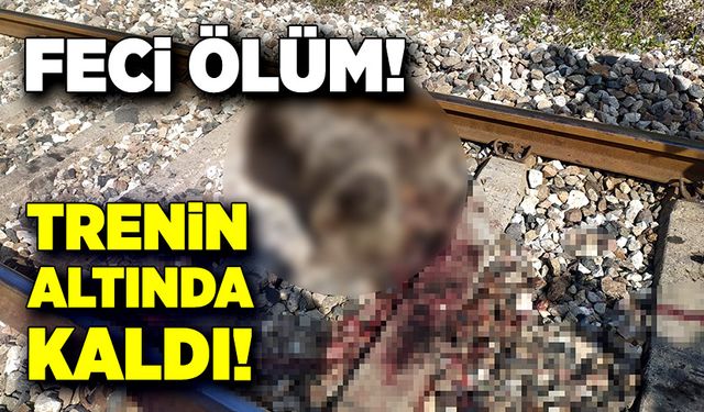 Feci ölüm! Trenin altında kaldı!