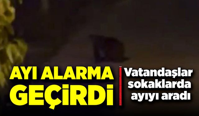 Ayı alarma geçirdi! Vatandaşlar sokaklarda ayıyı aradı