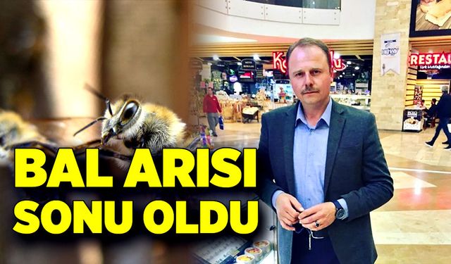 Bal arıları şah damarından soktu, hayatını kaybetti