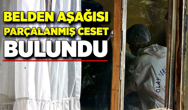 Fındık bahçesinde belden aşağısı parçalanmış ceset bulundu