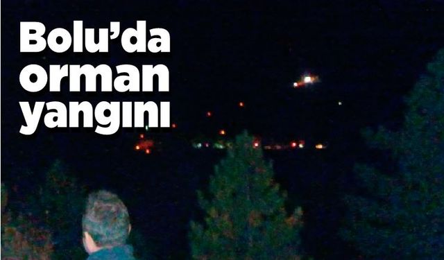 Bolu’da orman yangını