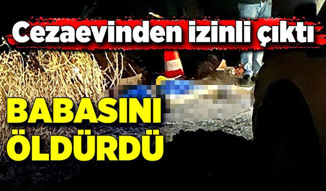 Cezaevinden izinli çıktı, babasını öldürdü!