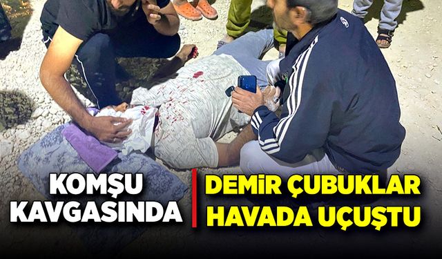 Komşu kavgasında, demir çubuklar havada uçuştu!