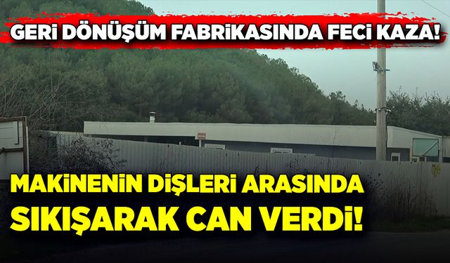 Geri dönüşüm fabrikasında feci kaza!