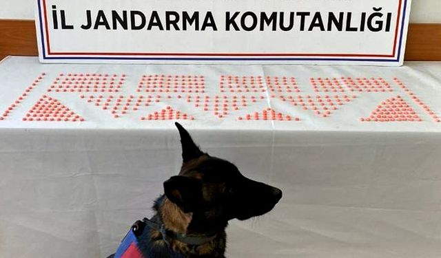 Kastamonu'da extacy sevkiyatına jandarma engeli!