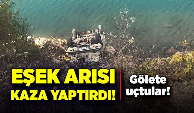 Eşek arısı kaza yaptırdı! Gölete uçtular!