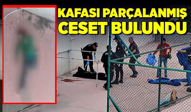 Kafası parçalanmış ceset bulundu!