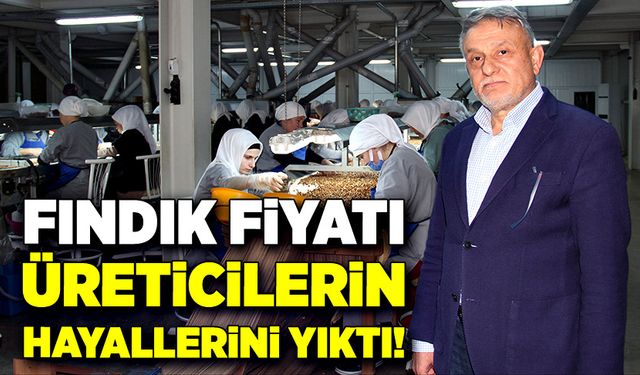 Fındık fiyatı, üreticilerin hayallerini yıktı