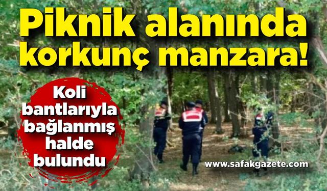 Piknik alanında korkunç manzara! Koli bantlarıyla bağlanmış halde bulundu