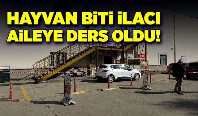 Hayvan biti ilacı aileye ders oldu!