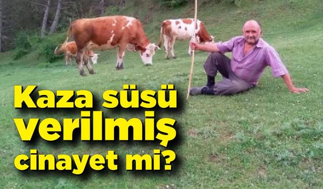 Kastamonu'da domuz avı cinayeti iddiası