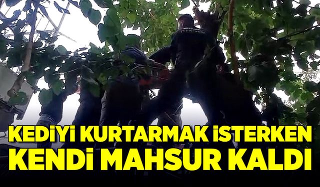 Kediyi kurtarmak istedi kendi mahsur kaldı