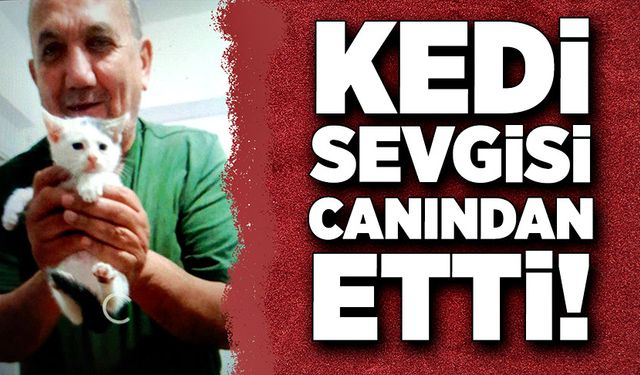 Kedi sevgisi canından etti!