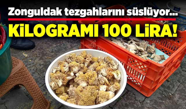 Zonguldak tezgahlarını süslüyor…  Kilogramı 100 lira!