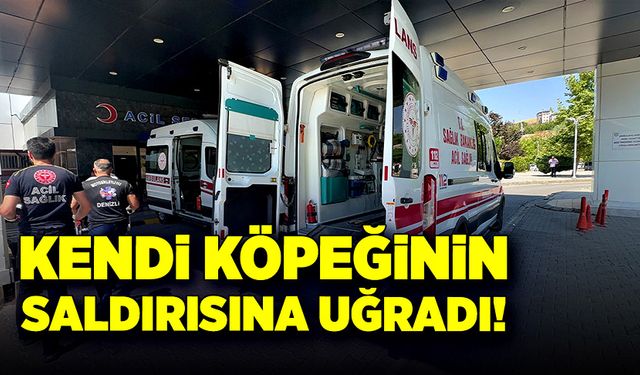 Kendi köpeğinin saldırısına uğradı!