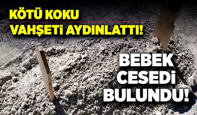 Kötü koku vahşeti aydınlattı! Bebek cesedi bulundu!