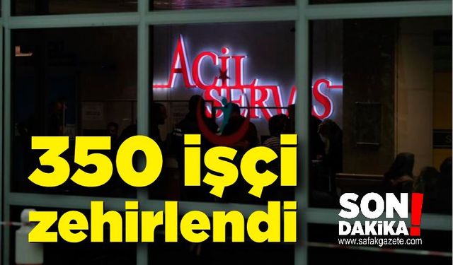 Manisa'da korkunç olay; 350 işçi hastaneye koştu