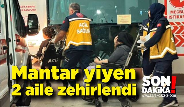 Akşam yemeğinde mantar yiyen 2 aile zehirlendi