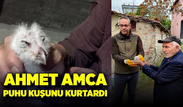 Ahmet amca minareden düşen puhu kuşunu kurtardı