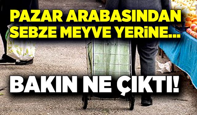 Pazar arabasından sebze meyve yerine bakın ne çıktı