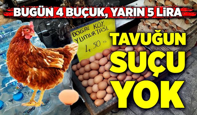 Bugün 4 buçuk, yarın 5 lira…Tavuğun suçu yok!