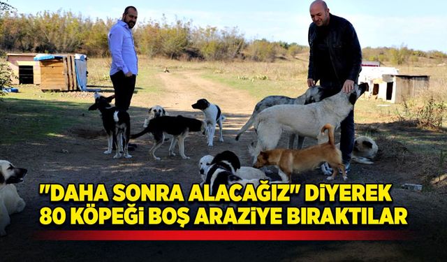 "Daha sonra alacağız" diyerek  80 köpeği boş araziye bıraktılar