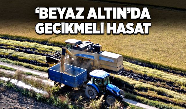 ‘Beyaz altın’da gecikmeli hasat