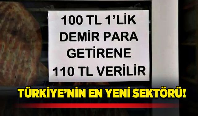 Türkiye’nin en yeni sektörü