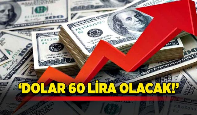 Dolar 60 lira olacak!