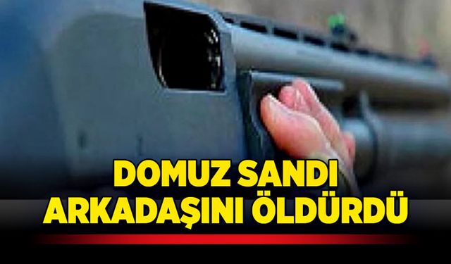 Domuz sandı arkadaşını öldürdü