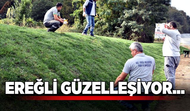 Ereğli güzelleşiyor...