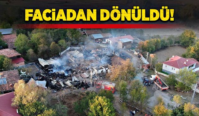 Faciadan dönüldü! 22 büyükbaş ve 6 köpek yandı!