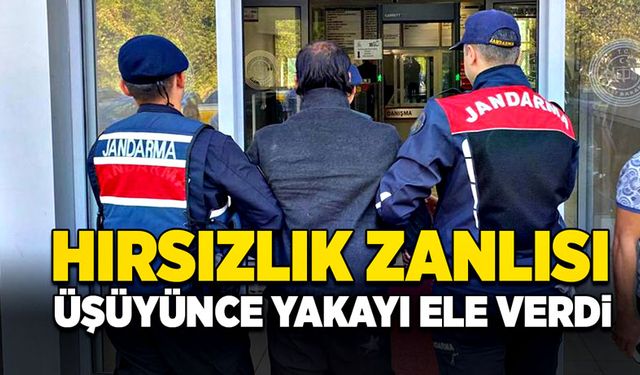 Hırsızlık zanlısı üşüyünce yakayı ele verdi!