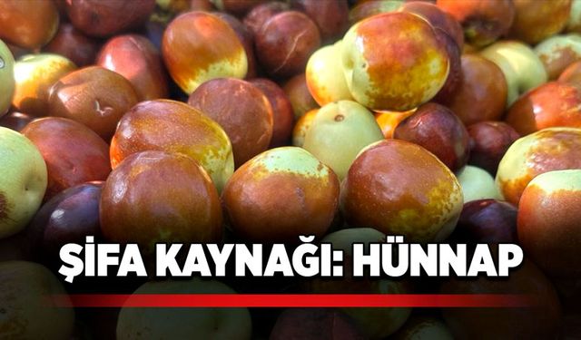 Şifa kaynağı: Hünnap