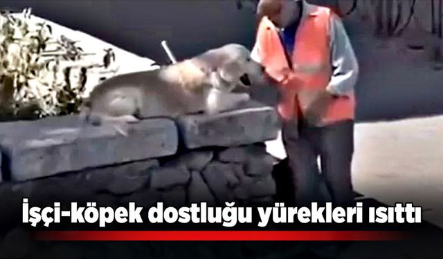 İşçi-köpek dostluğu yürekleri ısıttı