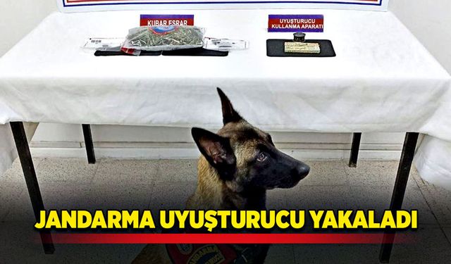 Jandarmadan uyuşturucu operasyonu