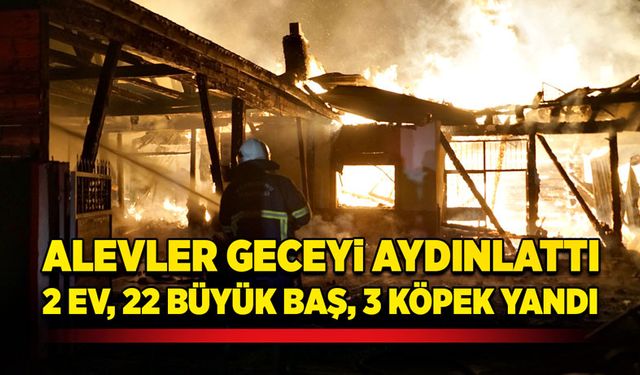 Alevler geceyi aydınlattı: 2 ev, 22 büyükbaş 3 köpek yandı