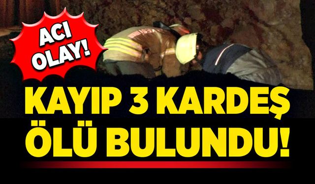 Acı Olay! Kayıp 3 kardeş ölü bulundu!