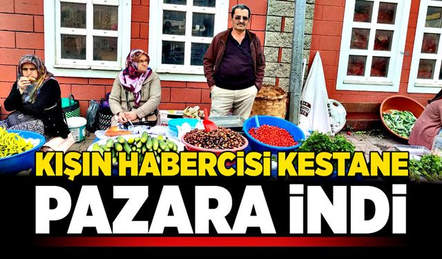 Kışın habercisi kestane, pazara indi