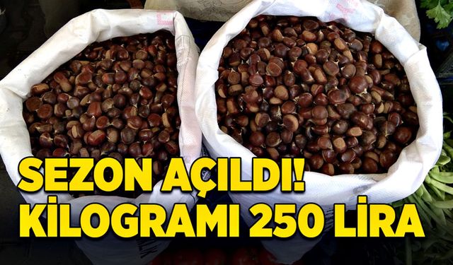 Sezon açıldı! Kilogramı 250 lira