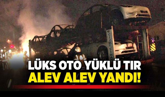 Lüks oto yüklü tır, alev alev yandı!