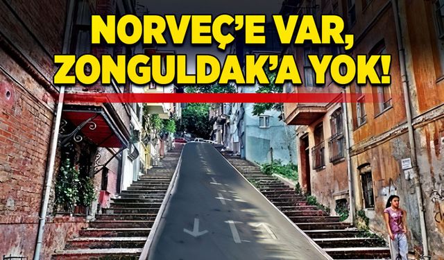 Norveç’e var, Zonguldak’a yok!