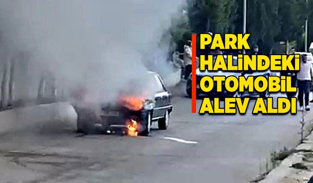 Park halindeki otomobil alev aldı