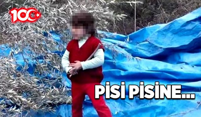 Pisi pisine…